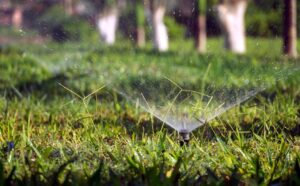 check your yard during your spring plumbing maintenance for your home